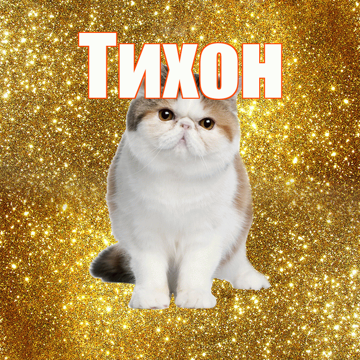 Тихон! Желаю хорошего дня! Красивая открытка Тихону!