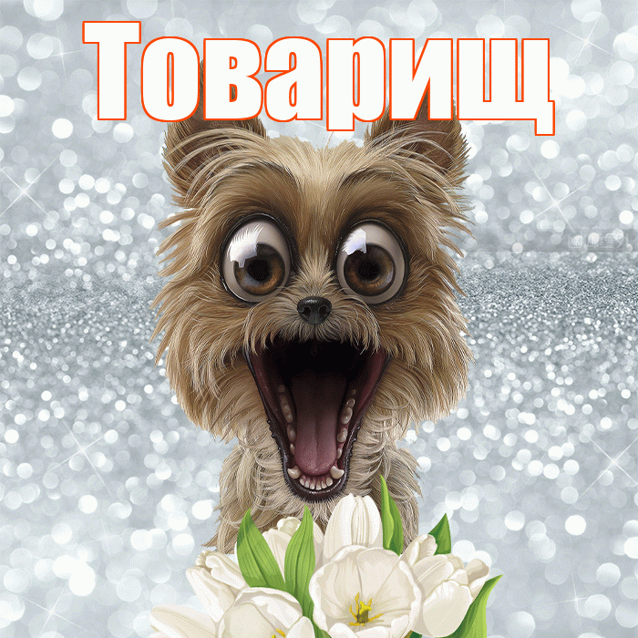 Товарищ! Желаю хорошего дня! Красивая открытка Товарищу!