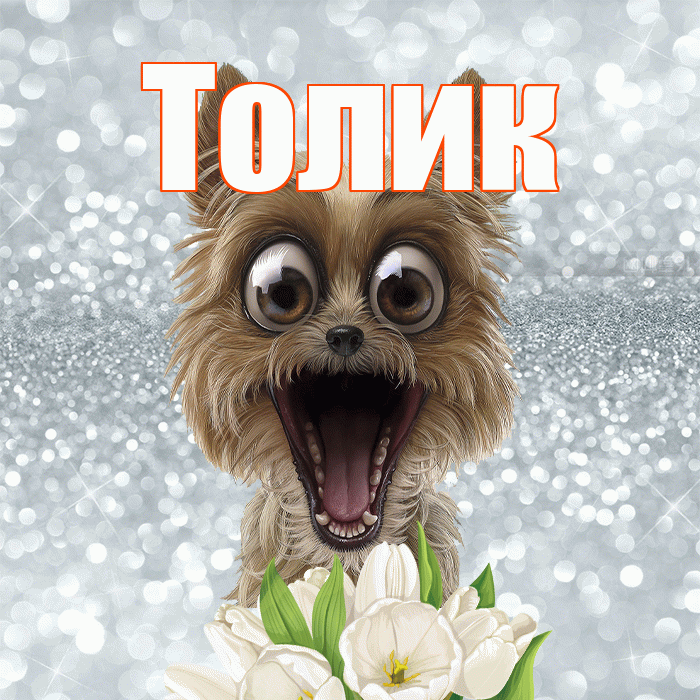 Толик! Желаю хорошего дня! Красивая открытка !