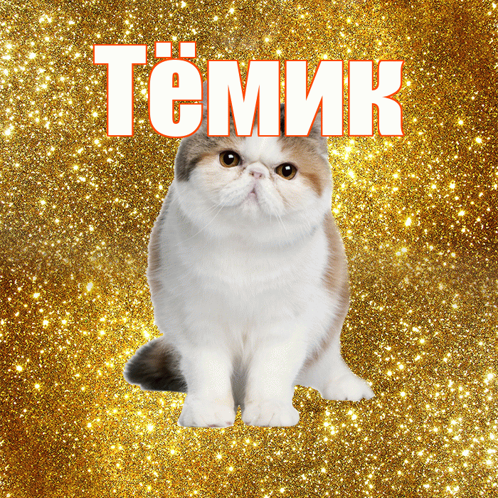 Тёмик! Желаю хорошего дня! Красивая открытка !