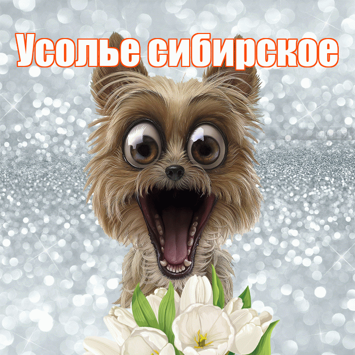 Усолье сибирское! Желаю хорошего дня! Красивая открытка !