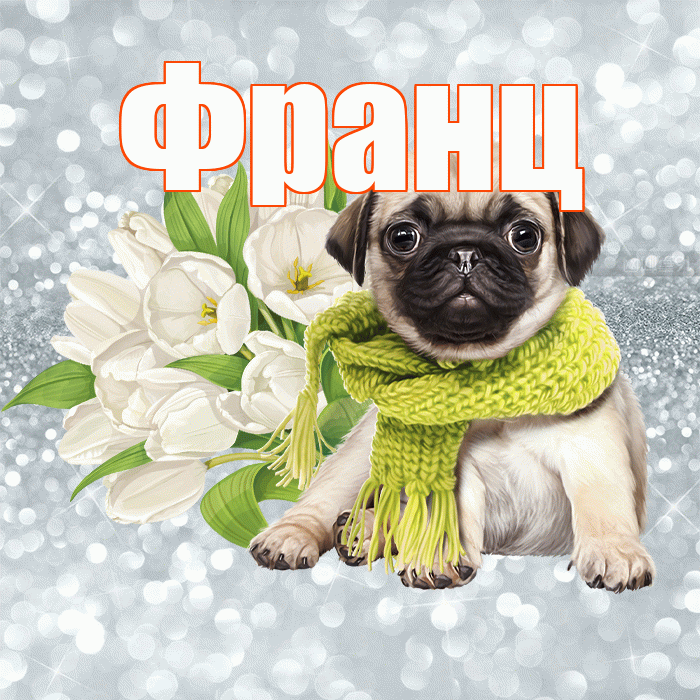 Франц! Желаю хорошего дня! Красивая открытка Францу!