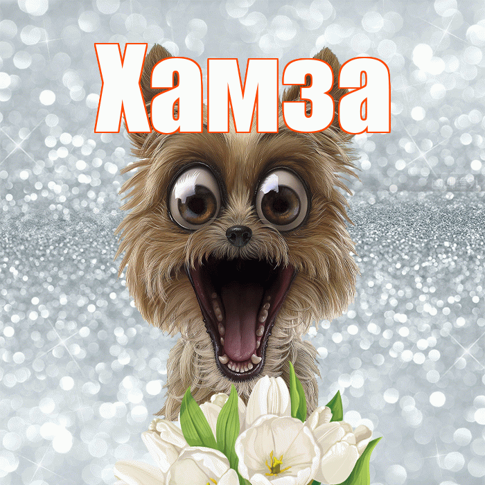 Хамза! Желаю хорошего дня! Красивая открытка Хамзе!