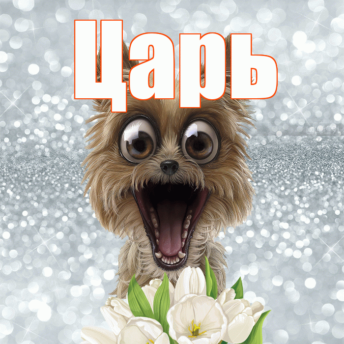 Царь! Желаю хорошего дня! Красивая открытка Царю!