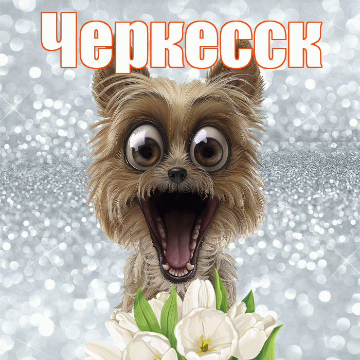 Черкесск! Желаю хорошего дня! Красивая открытка Черкесску!