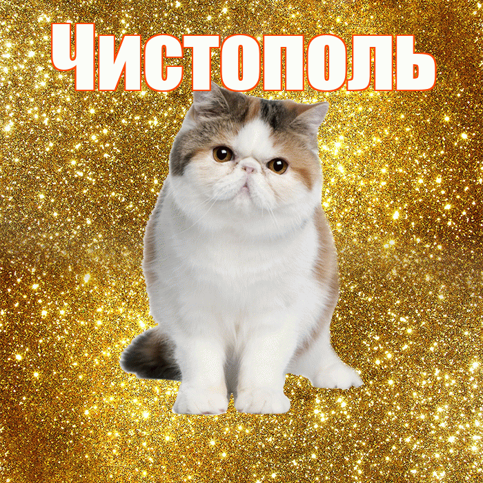 Чистополь! Желаю хорошего дня! Красивая открытка Чистополю!