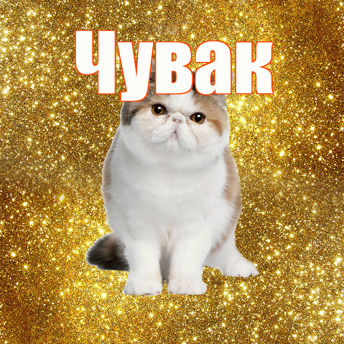 Чувак! Желаю хорошего дня! Красивая открытка Чуваку!