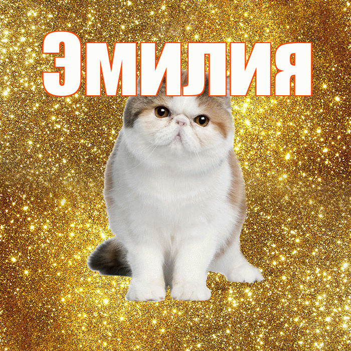 Эмилия! Желаю хорошего дня! Красивая открытка Эмилию!