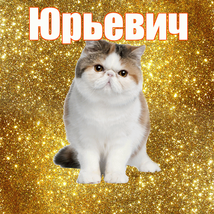 Юрьевич! Желаю хорошего дня! Красивая открытка Юрьевичу!
