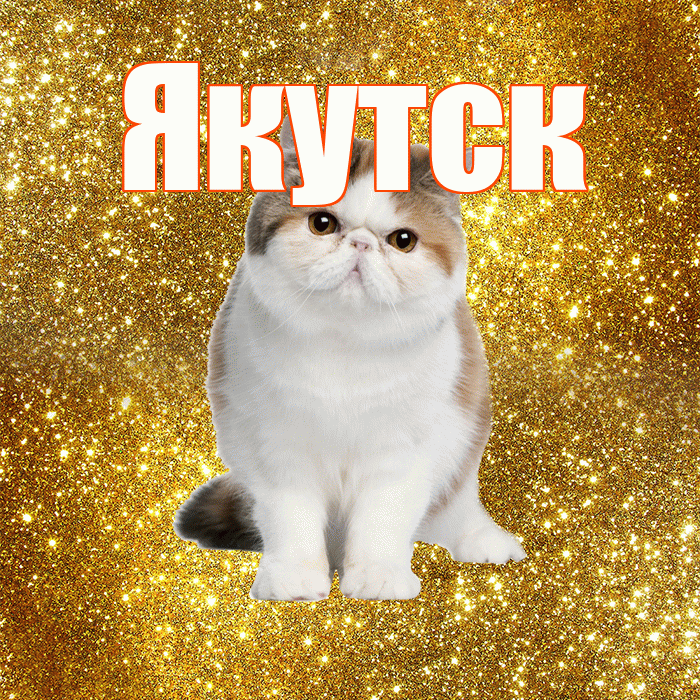 Якутск! Желаю хорошего дня! Красивая открытка Якутску!