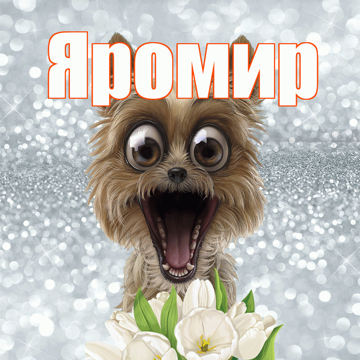 Яромир! Желаю хорошего дня! Красивая открытка Яромиру!