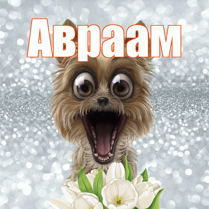 Авраам! Красивого тебе утра! Красивая открытка Аврааму!