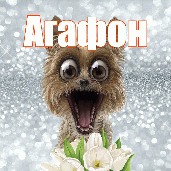 Агафон! Красивого тебе утра! Красивая открытка Агафону!