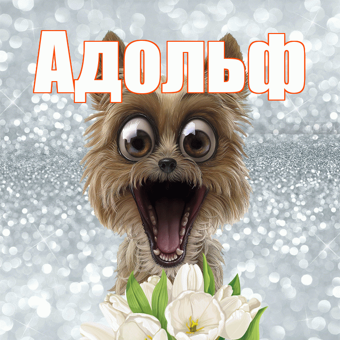 Адольф! Красивого тебе утра! Красивая открытка Адольфу!