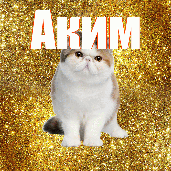 Аким! Красивого тебе утра! Красивая открытка Акиму!