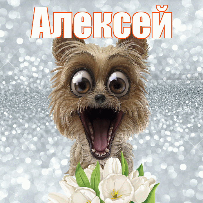 Алексей! Красивого тебе утра! Красивая открытка Алексею!