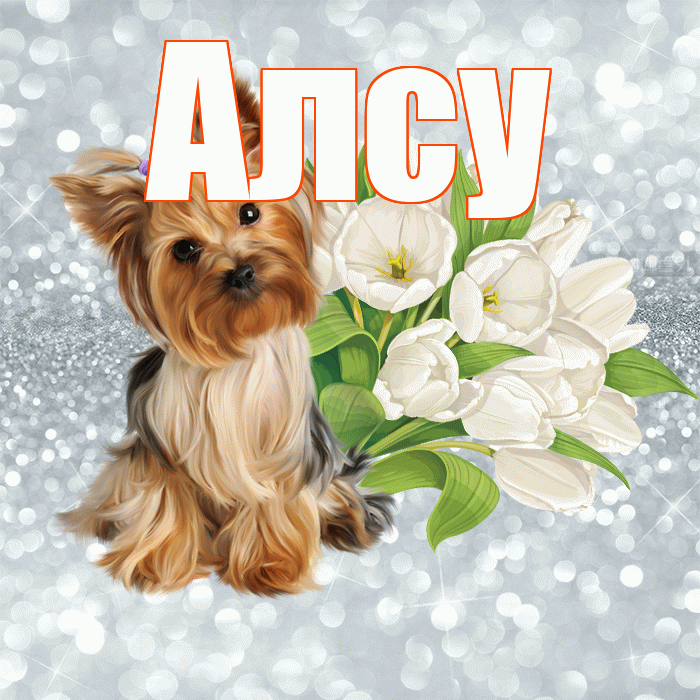 Алсу! Красивого тебе утра! Красивая открытка Алсу!