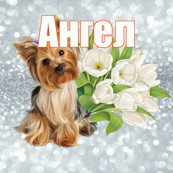 Ангел! Красивого тебе утра! Красивая открытка Ангелу!