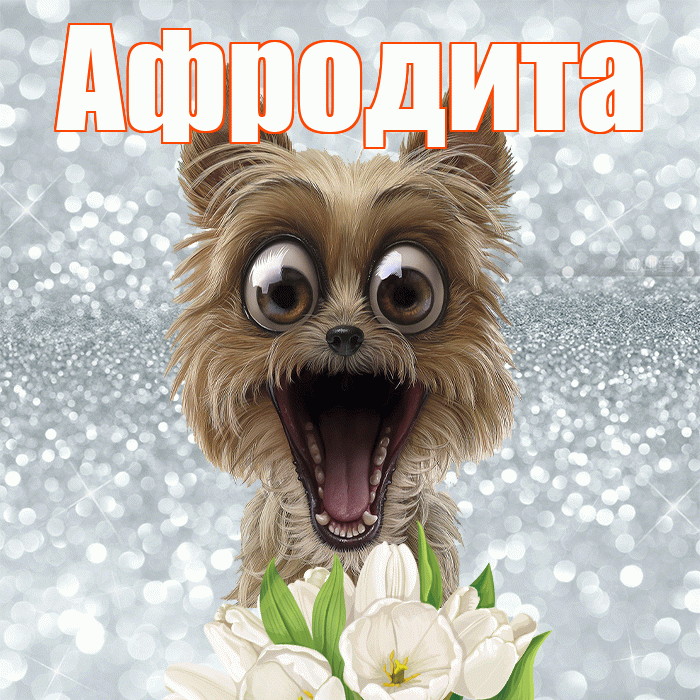 Афродита! Красивого тебе утра! Красивая открытка Афродите!