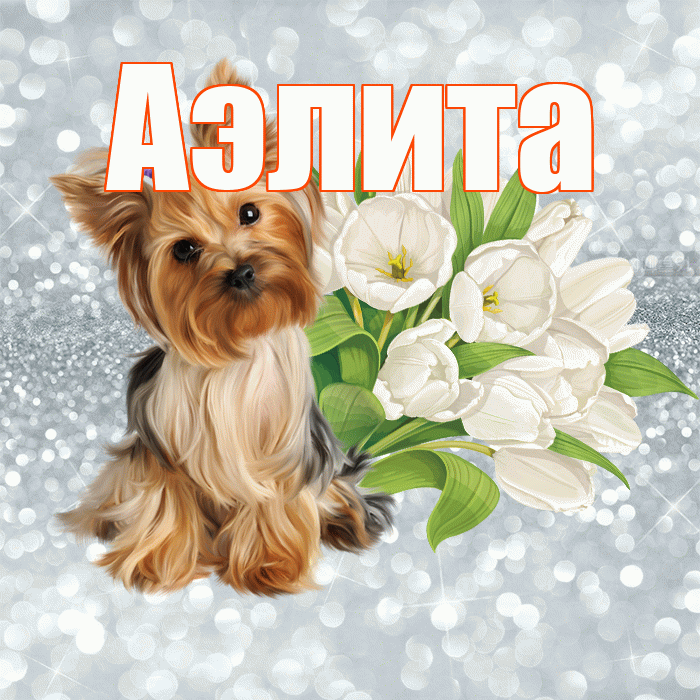 Аэлита! Красивого тебе утра! Красивая открытка Аэлитовне!