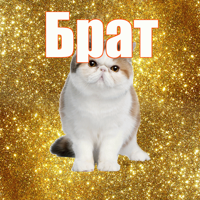 Брат! Красивого тебе утра! Красивая открытка Брату!