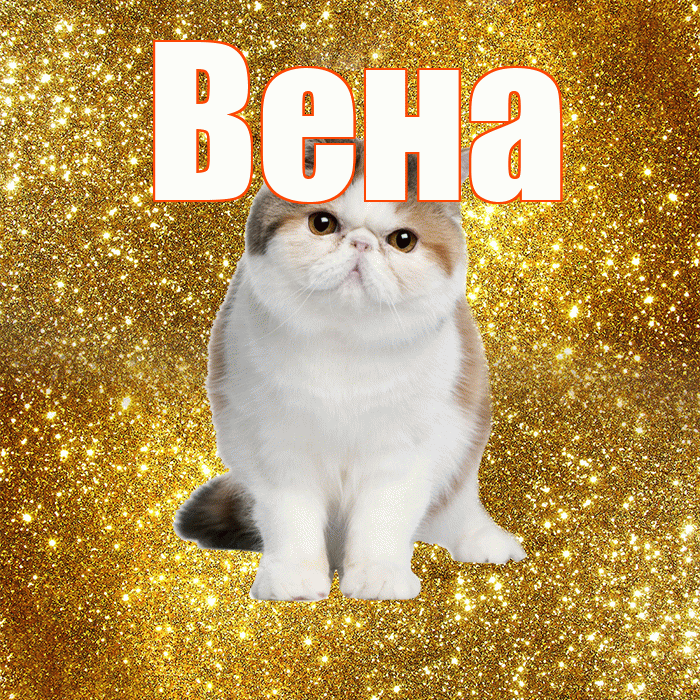 Вена! Красивого тебе утра! Красивая открытка Вене!