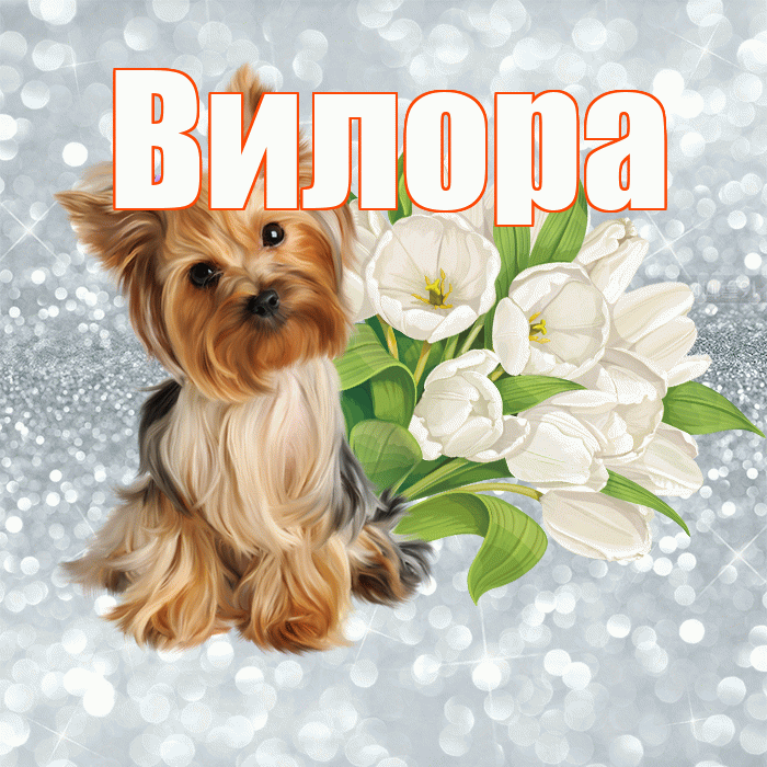 Вилора! Красивого тебе утра! Красивая открытка Вилору!