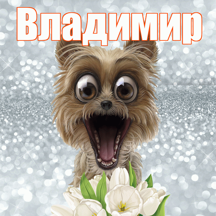 Владимир! Красивого тебе утра! Красивая открытка Владимиру!
