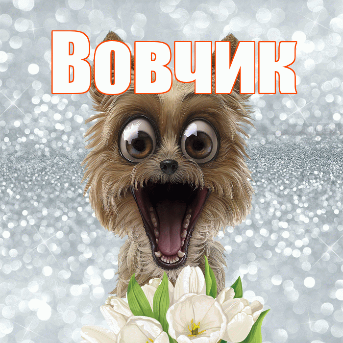 Вовчик! Красивого тебе утра! Красивая открытка !