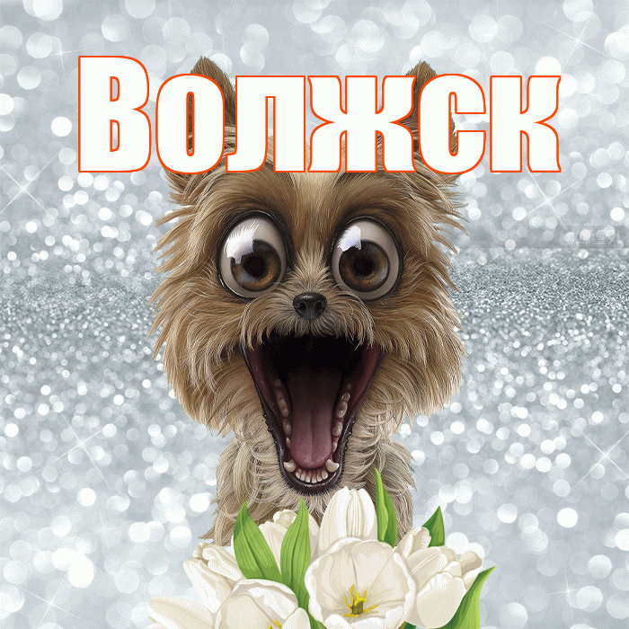 Волжск! Красивого тебе утра! Красивая открытка Волжску!
