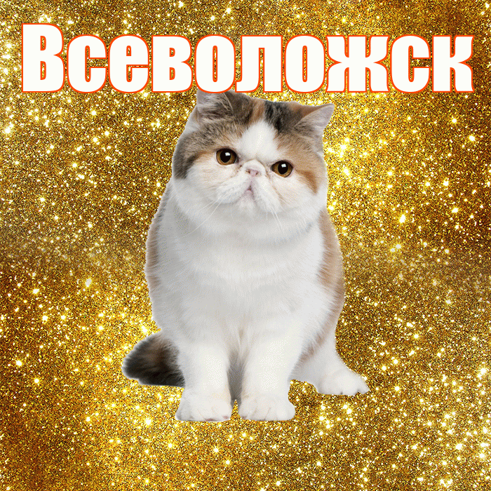 Всеволожск! Красивого тебе утра! Красивая открытка Всеволожску!