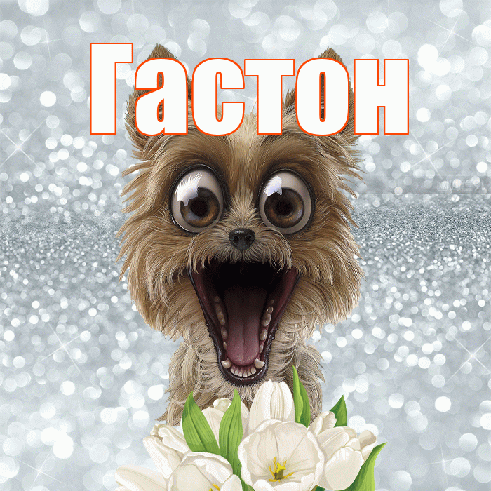 Гастон! Красивого тебе утра! Красивая открытка Гастону!