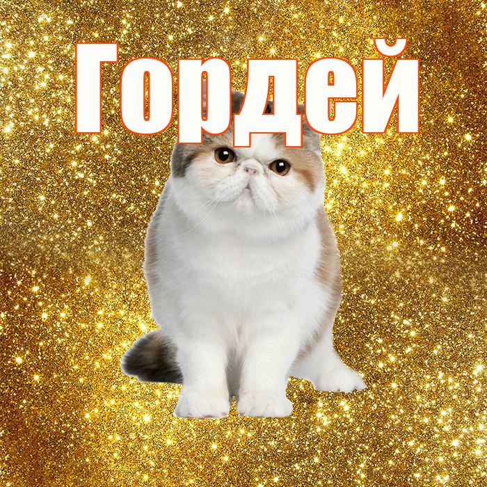 Гордей! Красивого тебе утра! Красивая открытка Гордею!