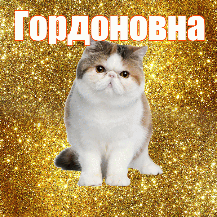 Гордоновна! Красивого тебе утра! Красивая открытка Гордоновне!