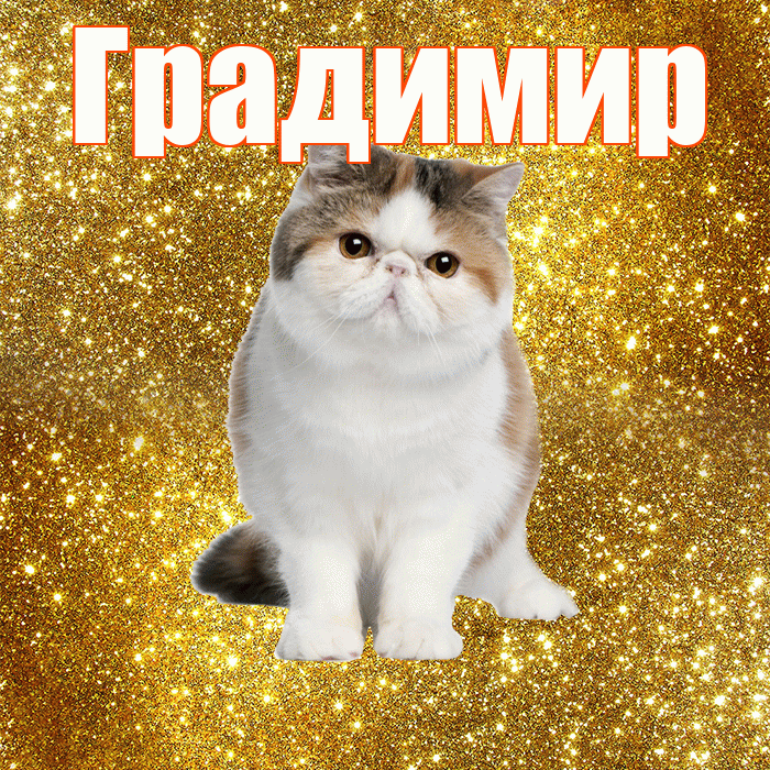 Градимир! Красивого тебе утра! Красивая открытка Градимиру!