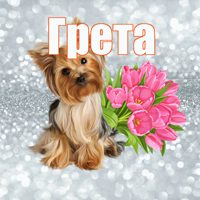 Грета! Красивого тебе утра! Красивая открытка Грете!