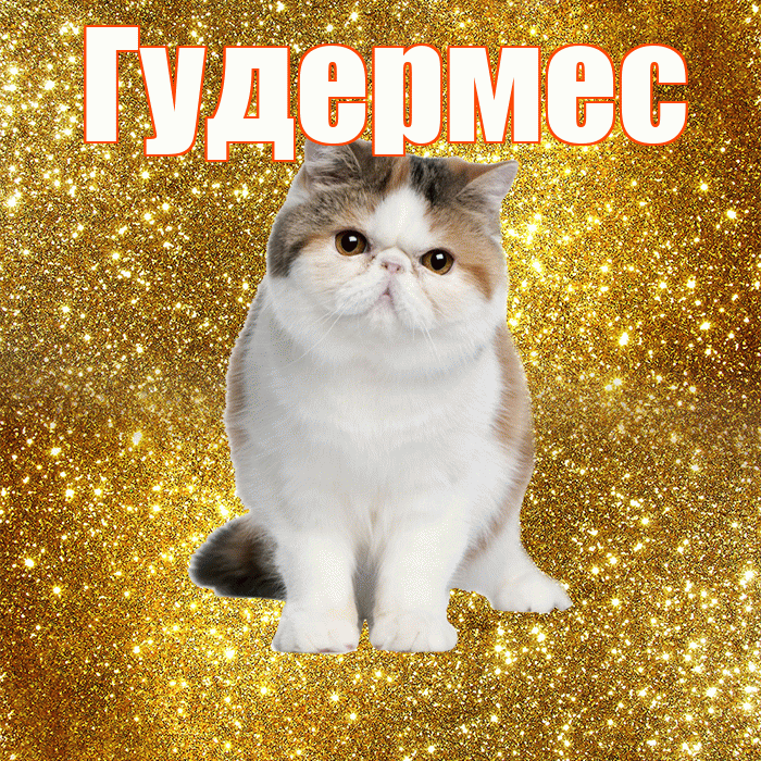 Гудермес! Красивого тебе утра! Красивая открытка Гудермесу!