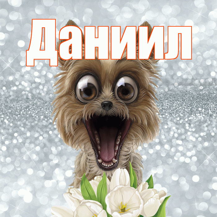 Даниил! Красивого тебе утра! Красивая открытка Даниилу!