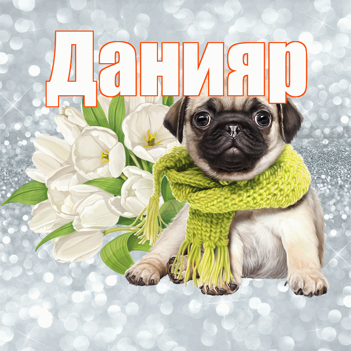 Данияр! Красивого тебе утра! Красивая открытка Данияру!
