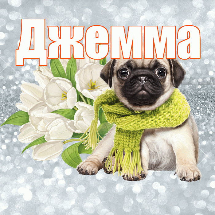Джемма! Красивого тебе утра! Красивая открытка Джемме!
