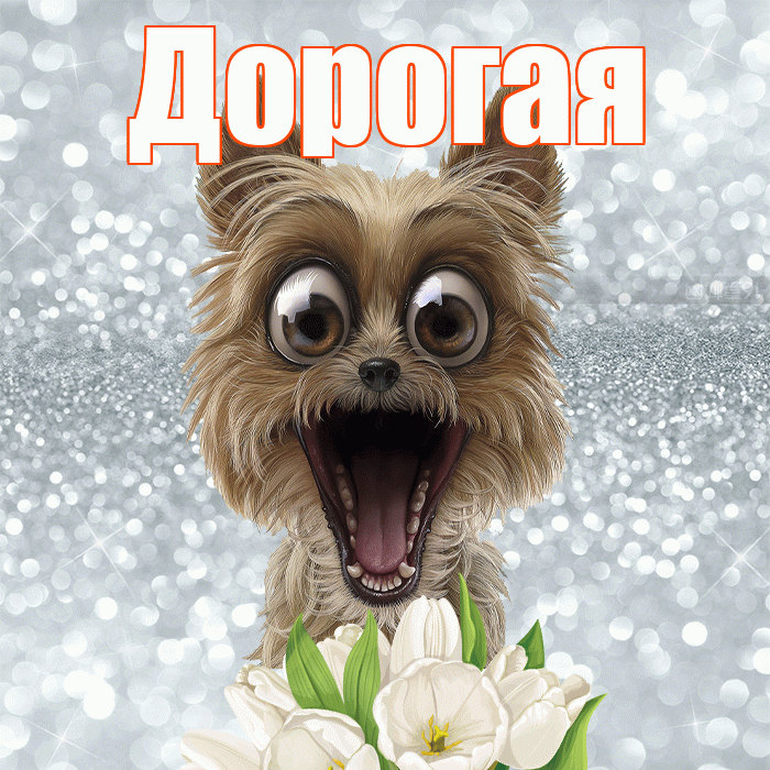Дорогая! Красивого тебе утра! Красивая открытка Дорогой!