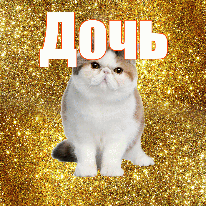 Дочь! Красивого тебе утра! Красивая открытка Дочери!