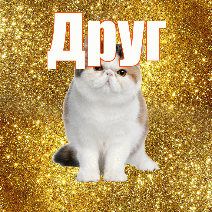 Друг! Красивого тебе утра! Красивая открытка Другу!