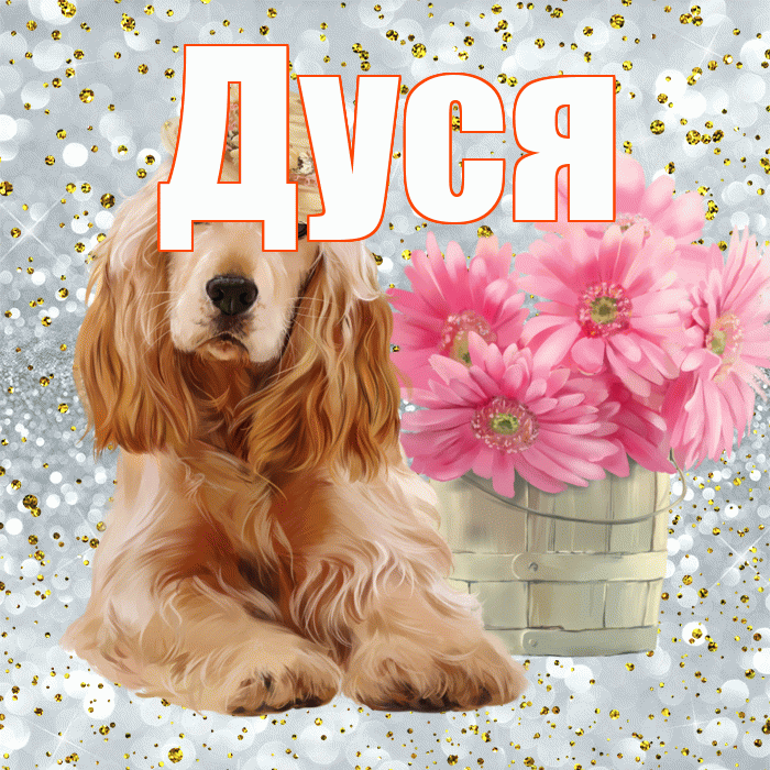 Дуся! Красивого тебе утра! Красивая открытка Дусе!