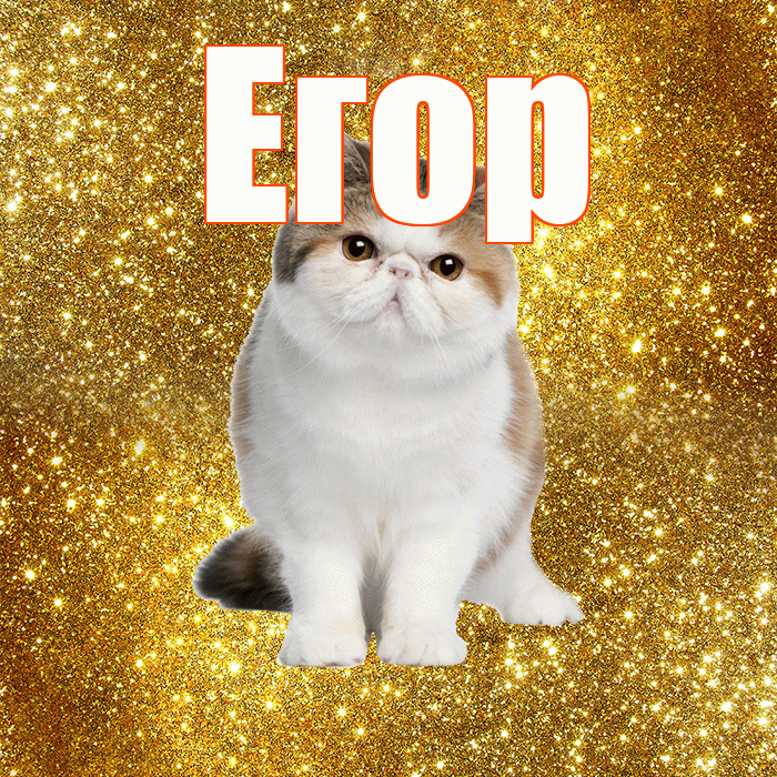 Егор! Красивого тебе утра! Красивая открытка Егору!