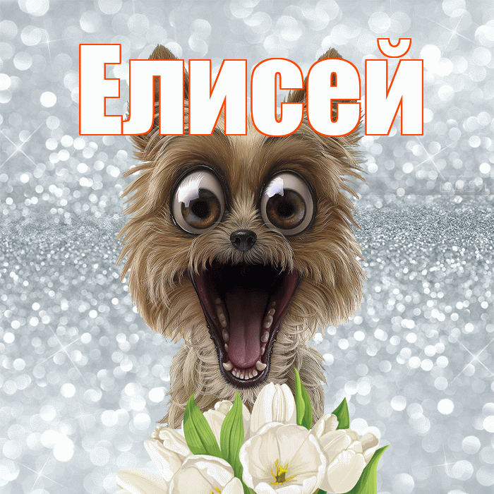 Елисей! Красивого тебе утра! Красивая открытка Елисею!