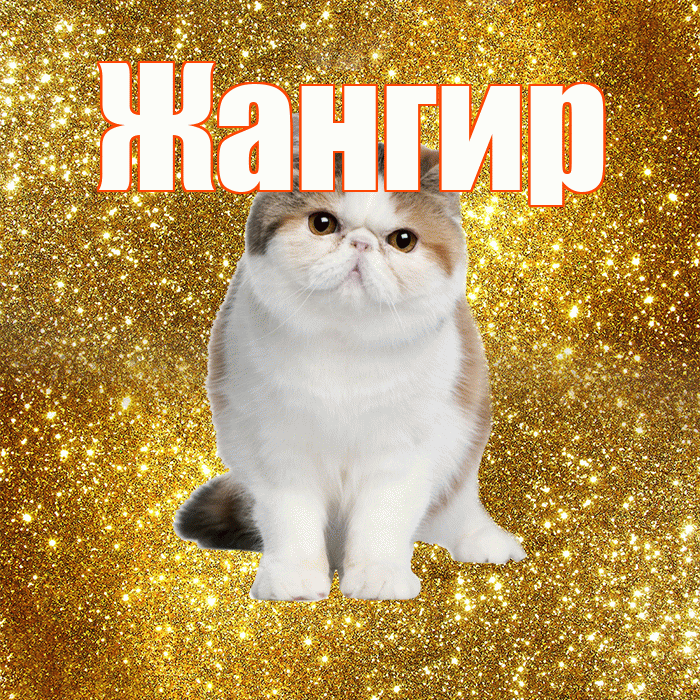 Жангир! Красивого тебе утра! Красивая открытка Жангиру!