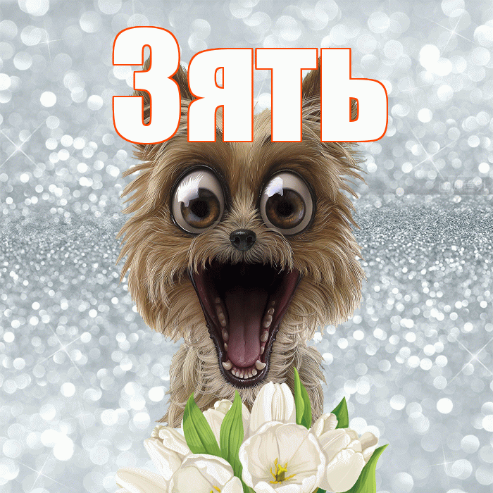 Зять! Красивого тебе утра! Красивая открытка Зятю!