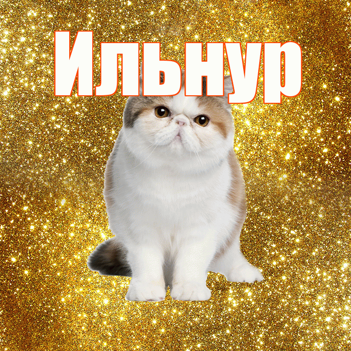 Ильнур! Красивого тебе утра! Красивая открытка Ильнуру!