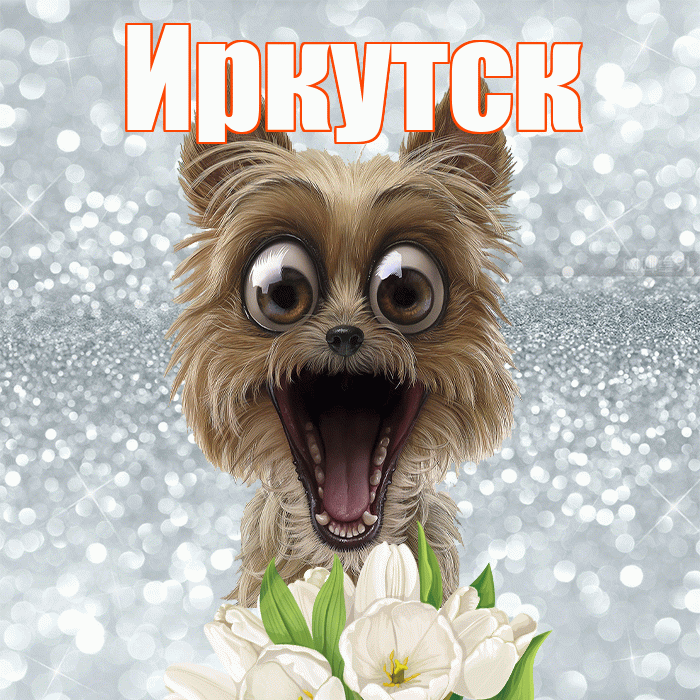 Иркутск! Красивого тебе утра! Красивая открытка Иркутску!